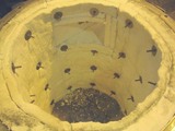 d766b81b.jpg