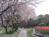120414