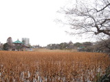 120123