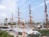 f1c5597c.JPG