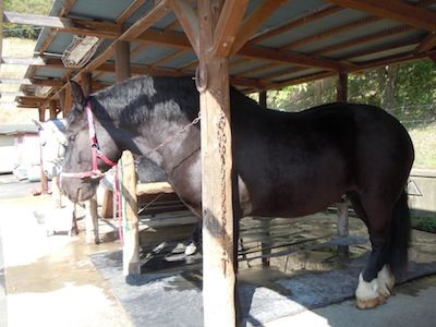 DSCN2904