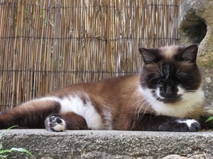 ウイングチェア (2)