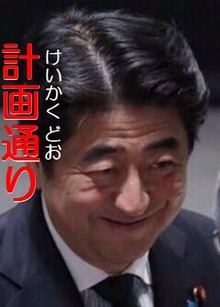安倍晋三首相・計画通り
