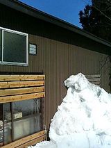 雪掻きの成果