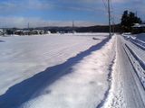 冬の散歩道