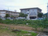 NEC_0168