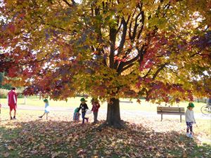 DSCN2803_R