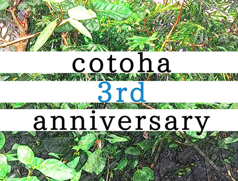 cotoha3rd
