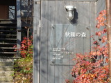 356453ca.jpg
