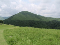 P7316835