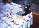 bce78e22.jpg