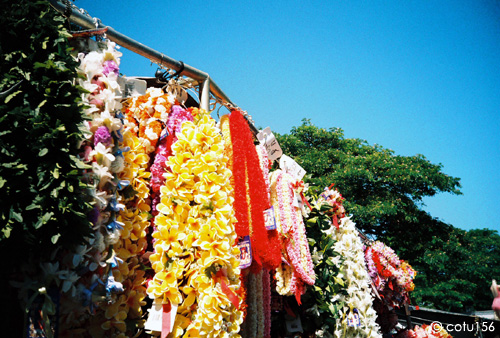 swapmeet_12lei