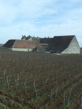 1fba8758.jpg