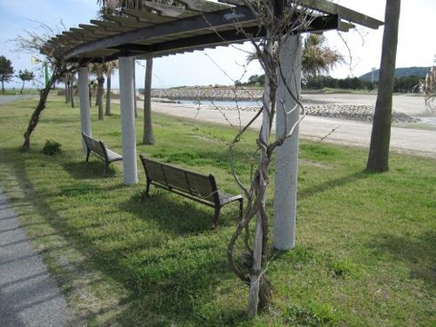IMG_0099_convert_20180415220127