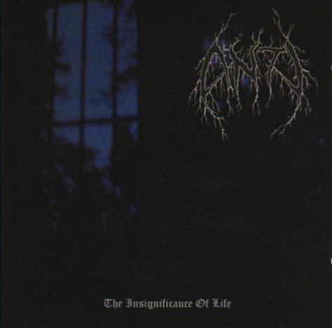 theinsignificanceoflife