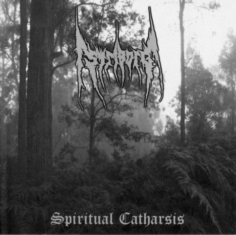 spiritualcatharsis