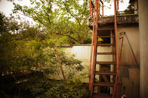 鶯花荘360