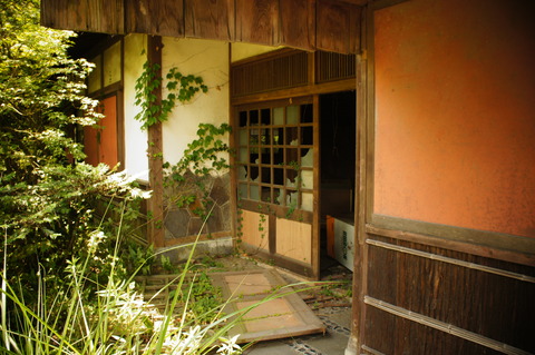 ぜんまい茶屋004