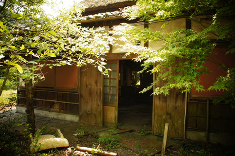 ぜんまい茶屋003