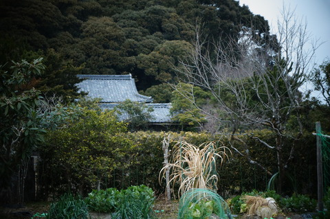 福井醫院001
