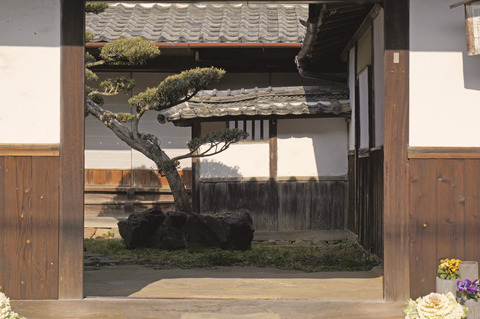 町家のひなめぐり028