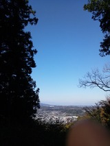 0a110a05.jpg
