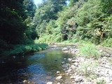 d4a1288d.jpg