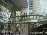 akiba hasira2