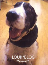 BlogPaint