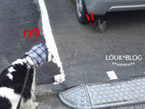 BlogPaint