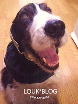 BlogPaint