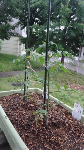 DSC05025