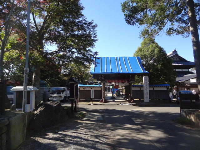 DSC03232