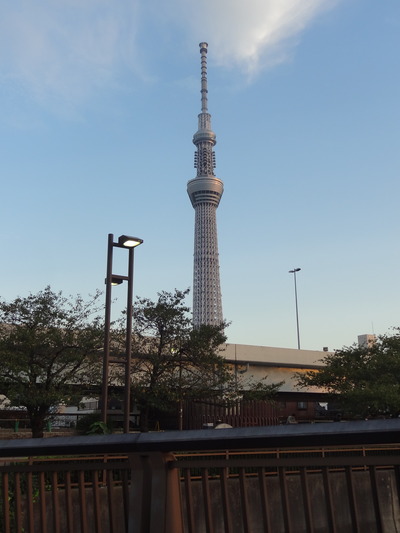DSC01613
