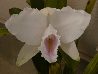 P1070372