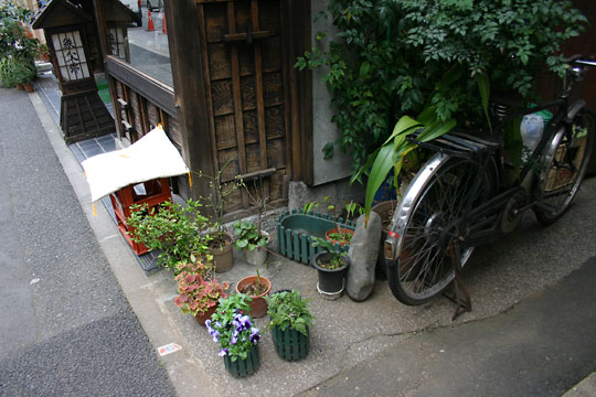 2005-03-31-064.jpg