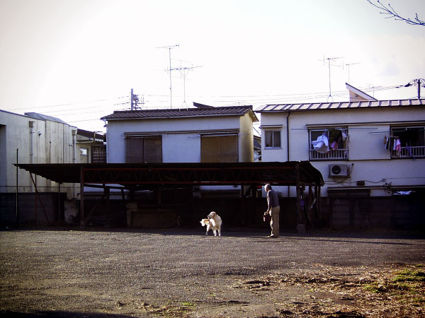 2006-12-27-019b.jpg