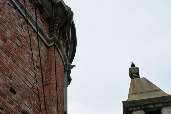 2006-03-18-014.jpg