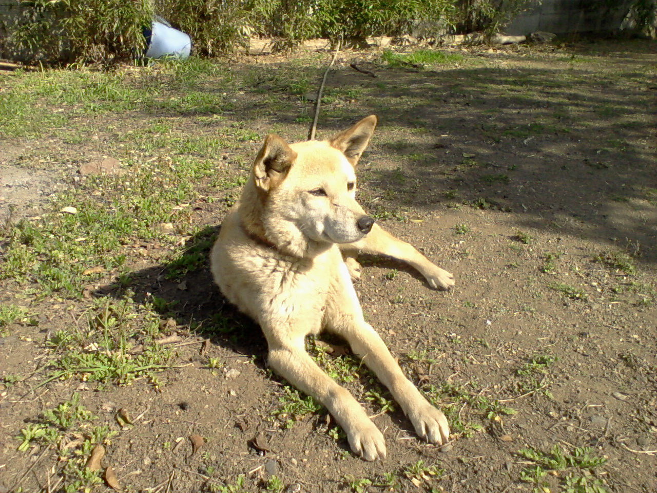 2011040113171
