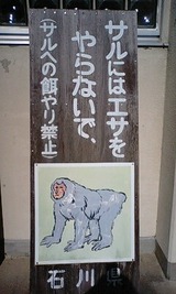 e8d47a99.jpg