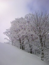 2b87185f.jpg