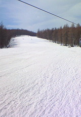 4380a800.jpg