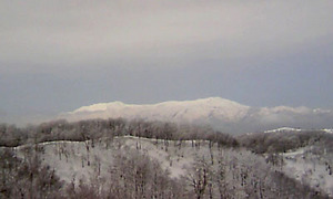 ΢����ǭ�⥹������ǭ���裱��եȡ���˭��