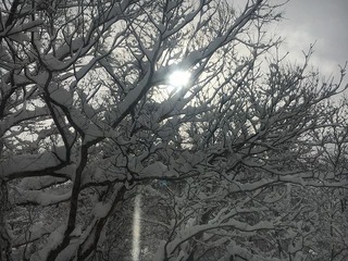 裏磐梯 積雪情報