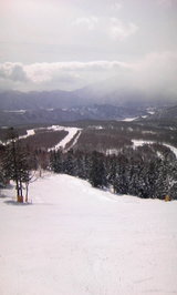 76c7d7de.JPG