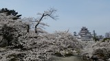 20160413_114432