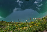 DSC_0207