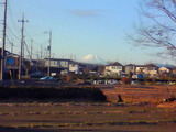 2097219a.jpg