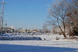 DSC_6480