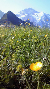 3a89f848.jpg